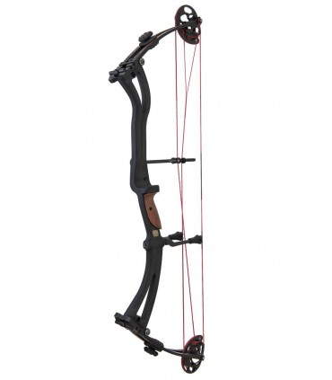 Arc WIN&WIN SHADOW 36 " PRO 2017