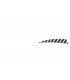 Plume BUCK TRAIL ou équivalent tigrée 4" Shield