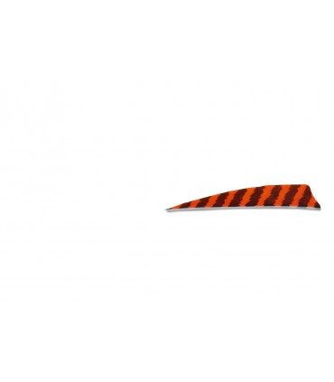 Plume BUCK TRAIL ou équivalent tigrée 4" Shield