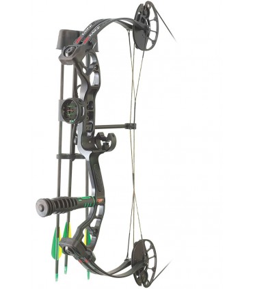 PSE EVOLVE 31 2018