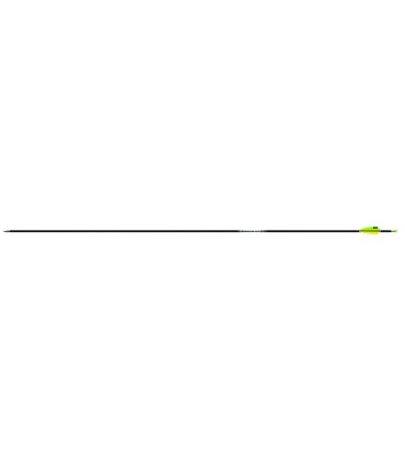 Tube EASTON ACE (par 12)