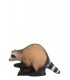 Cible 3D WILD LIFE Raton Laveur