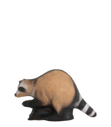 Cible 3D WILD LIFE Raton Laveur