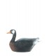 Cible 3D WILD LIFE Oie