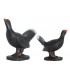 3D COQ DE BRUYERE