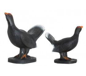 Cible 3D WILD LIFE Coq de bruyére