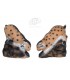 3D LYNX PETIT SUR ROCHER