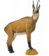 3D CHAMOIX ÉTÉ