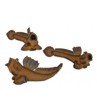 Cible 3D SRT Poisson 