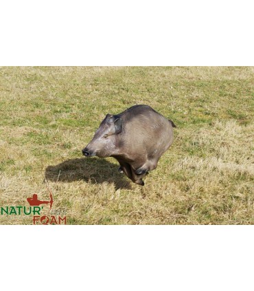 3D SANGLIER A LA COURSE