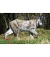 3D LYNX
