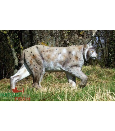 Cible 3D NATURFOAM Lynx