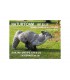 Cible 3D NATURFOAM Renard a la Course