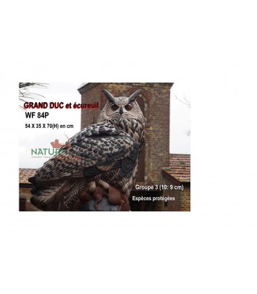 Cible 3D NATURFOAM Grabnd Duc et sa Proie