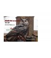 Cible 3D NATURFOAM Grand Duc et sa Proie