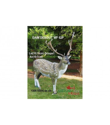 3D MOUFLON - GITEE