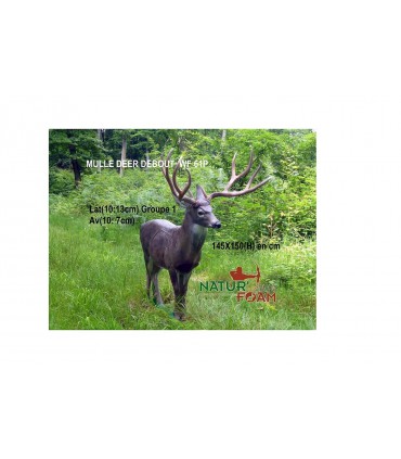 3D MOUFLON - GITEE