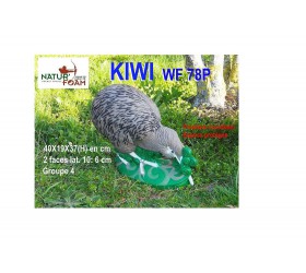Cible 3D NATURFOAM Kiwi