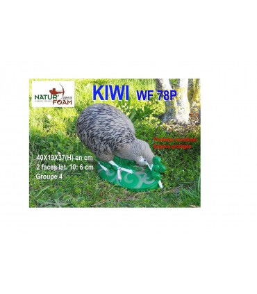 Cible 3D NATURFOAM Kiwi
