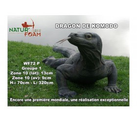 Cible 3D NATURFOAM Dragon de Comodo