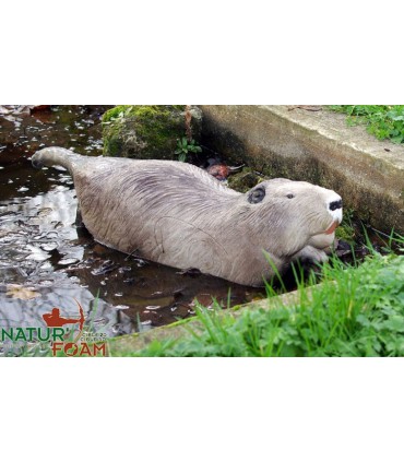 Cible 3D NATURFOAM Ragondin a la Nage