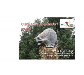 Cible 3D NATURFOAM Raton Laveur grimpant