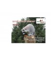 Cible 3D NATURFOAM Raton Laveur grimpant