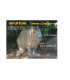 Cible 3D NATURFOAM Capibara