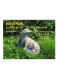 Cible 3D NATURFOAM Loutre