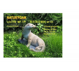 Cible 3D NATURFOAM Loutre