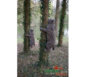 Cible 3D NATURFOAM Lynx Grimpant