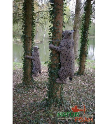 3D LYNX - GRIMPANT