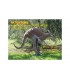 3D MOUFLON - GITEE