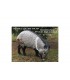 3D GUEPARD