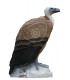 3D RENARD ASSIS