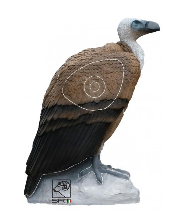 3D RENARD ASSIS