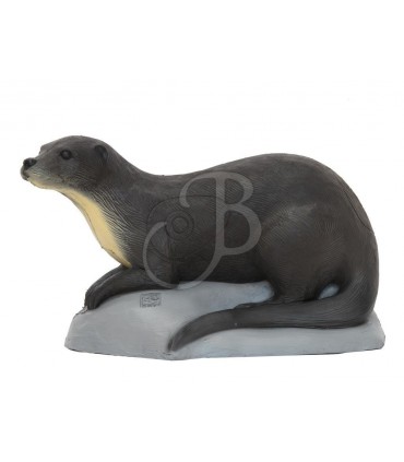 3D LOUTRE