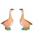 Cible 3D BEIER Oie Egyptienne