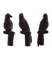 Cible 3D BEIER Carrion Crow