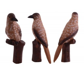 Cible 3D BEIER Nutcraker