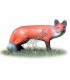 Cible 3D AA  Renard