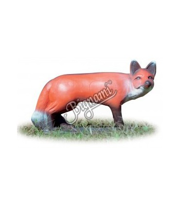 3D RENARD