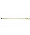 Flèche EZ Bois plumes Plastique 5/16  29"