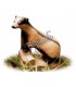 Cible 3D AA Blaireau