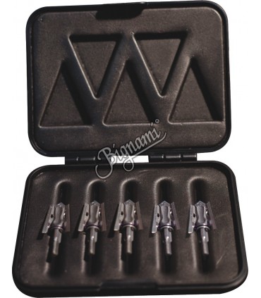 BROADHEADS BOX BH16 FIT 16 POINTS COLOR CLEAR
