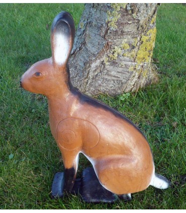 3D LAPIN