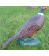 Cible 3D WILD LIFE Faisan Rouge