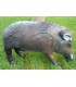 Cible 3D WILD LIFE Sanglier