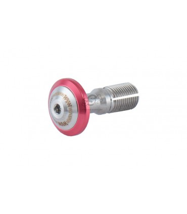 Vis WIN&WIN pour Tiller Acier 13 mm