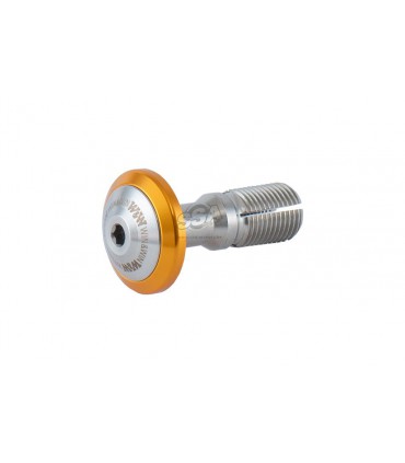 Vis WIN&WIN pour Tiller Acier 13 mm